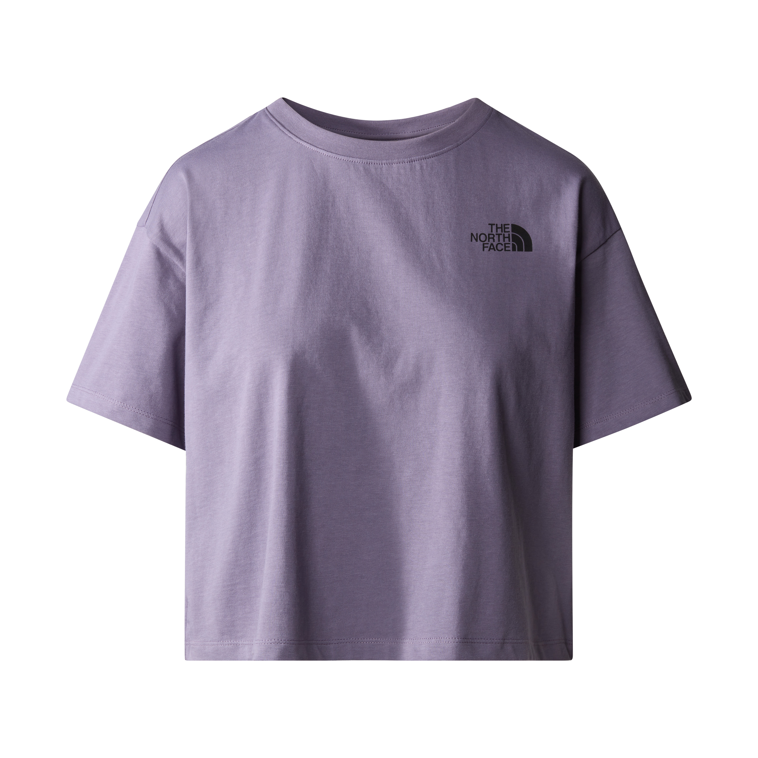 The North | Tee 196249630686 Face n141_lunar_slate 2023 Dome | Cropped S W | Simple