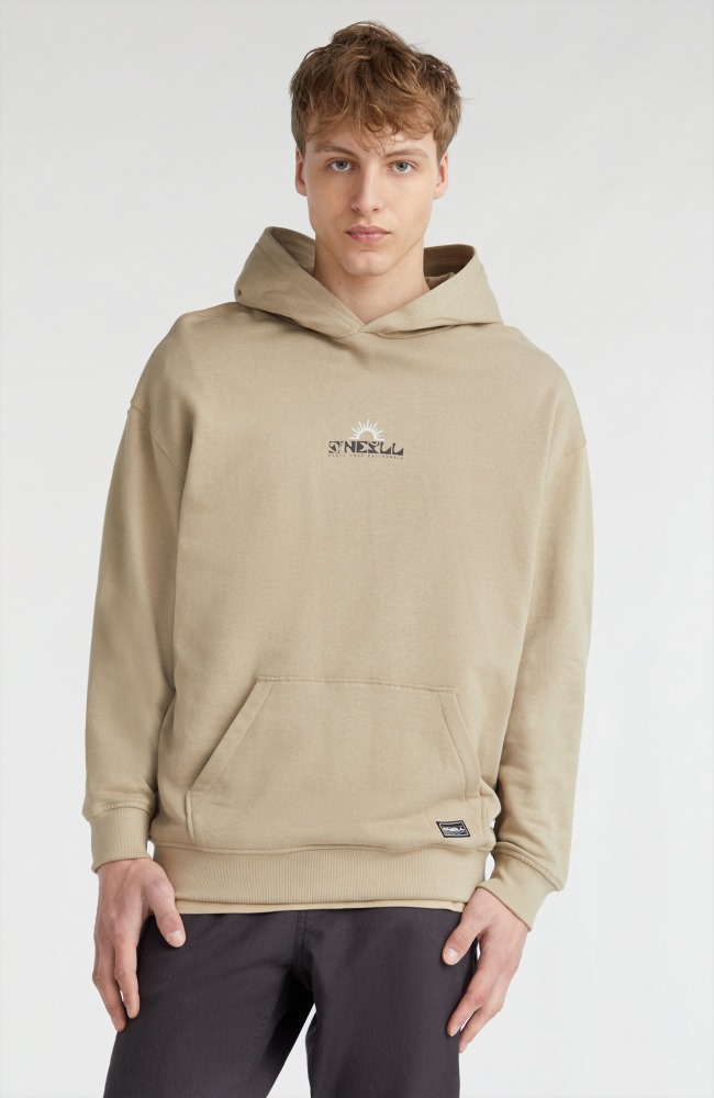 ONeill Mens Aguazul Hoodie